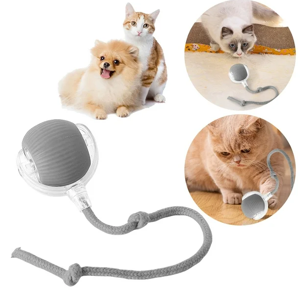 PELOTA INTERACTIVA PARA MASCOTAS – Cy-Import